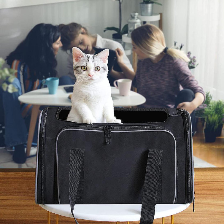 collapsible pet carriers