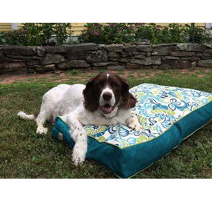 Pool and Patio Zoe Dog Bed