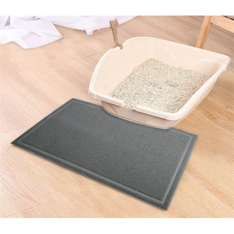 cat litter on carpet