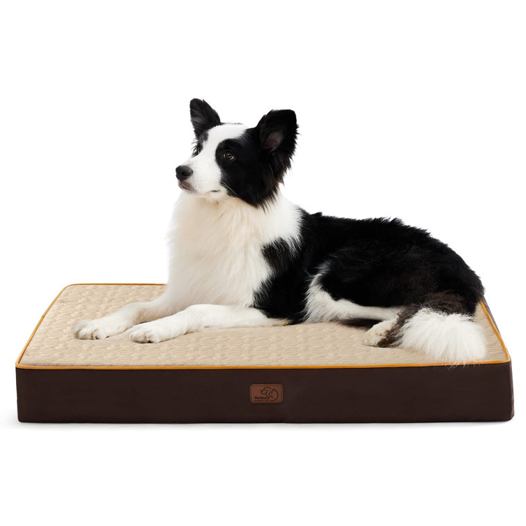waterproof dog beds for large dogs