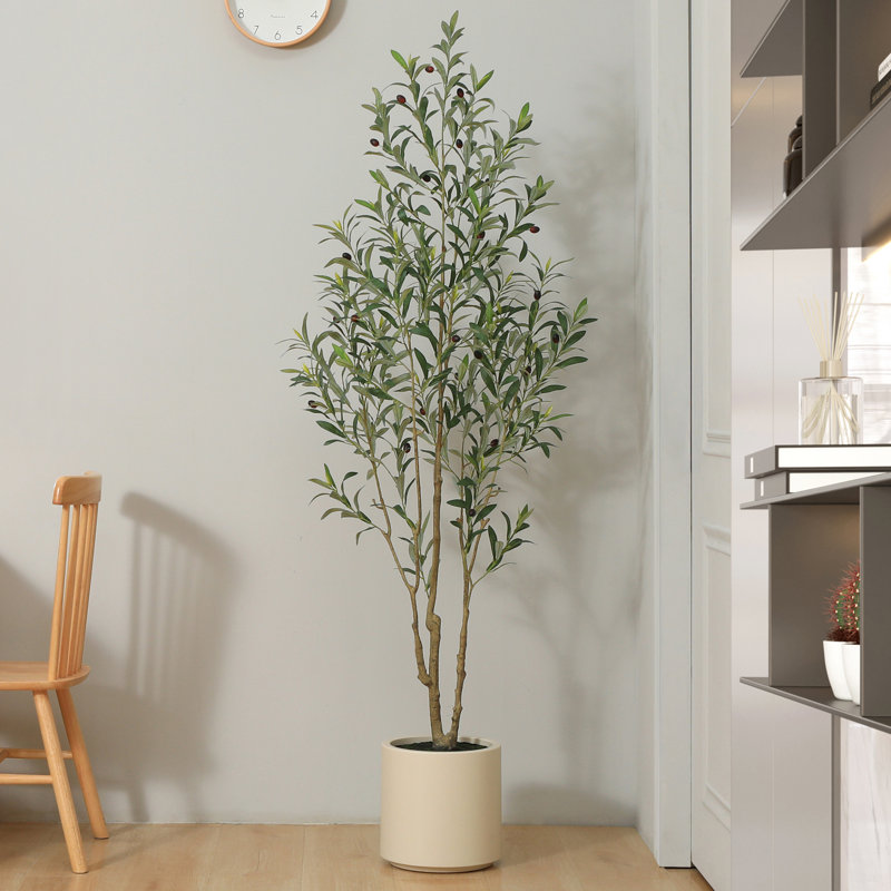 Adcock Faux Olive Tree in White Planter, Lifelike Fake Olive Plant for Indoor and Outdoor Decor Size: 72'' H X 21'' W X 21'' D