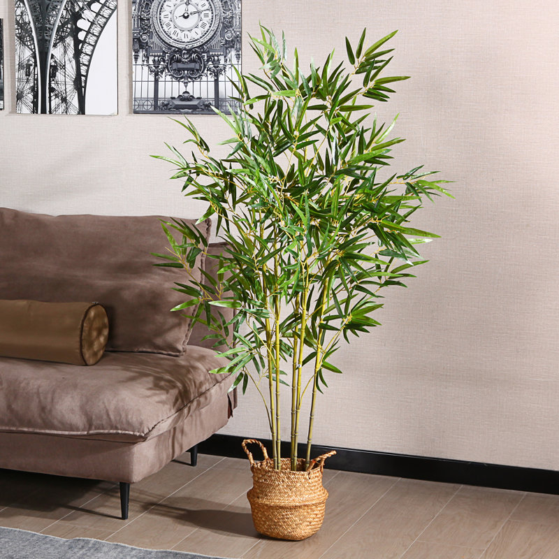 Amazing Finds Are Here In Your Area!