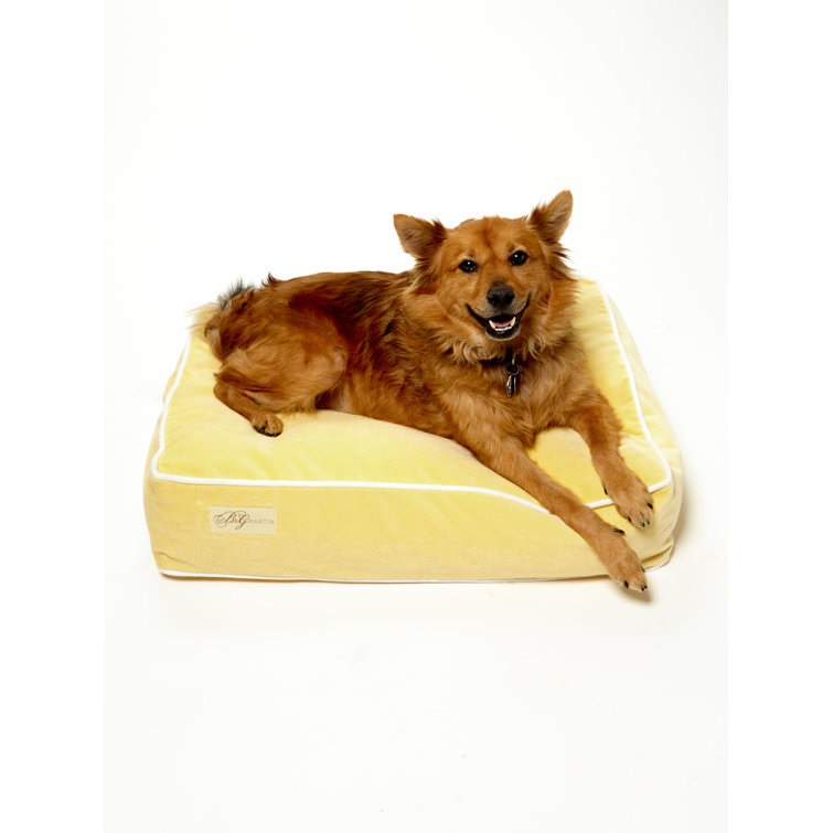 American Kennel Club Chevron Pet Cooling Mat/Pad American Kennel Club Chevron Pet Cooling Mat/Pad