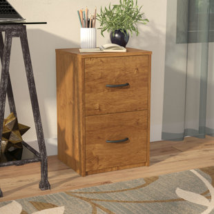 2 Drawer Wicker File Cabinets | Wayfair