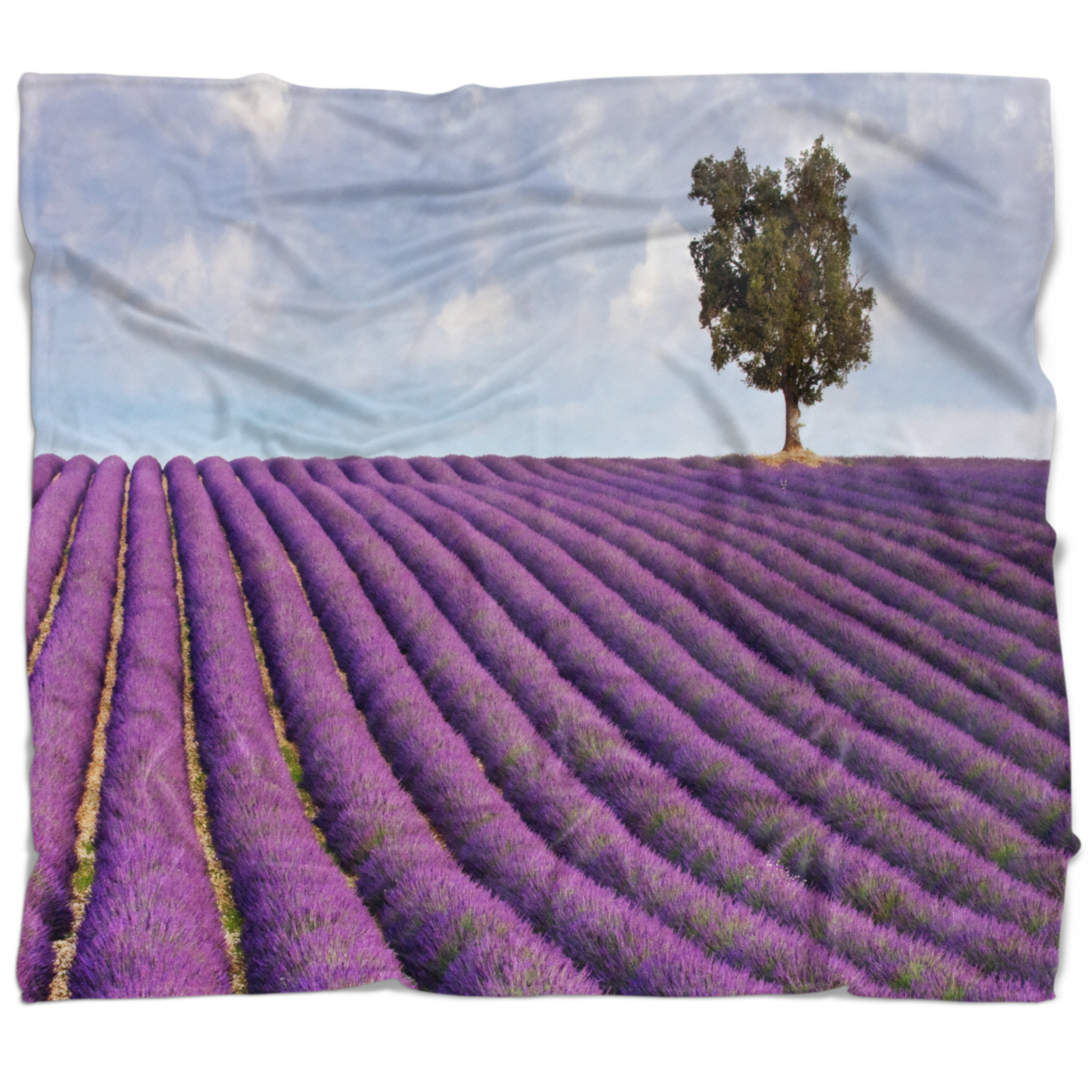 East Urban Home Landscape Lone Tree In Provence Lavender Field Blanket Wayfair