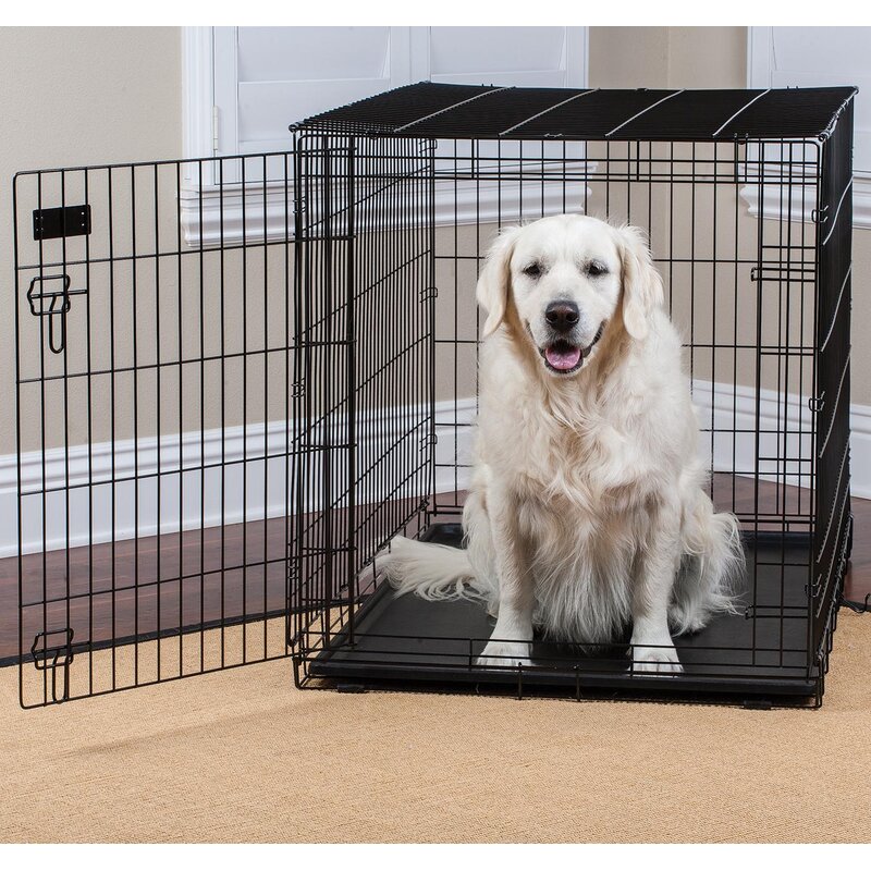 cheap 48 dog crate