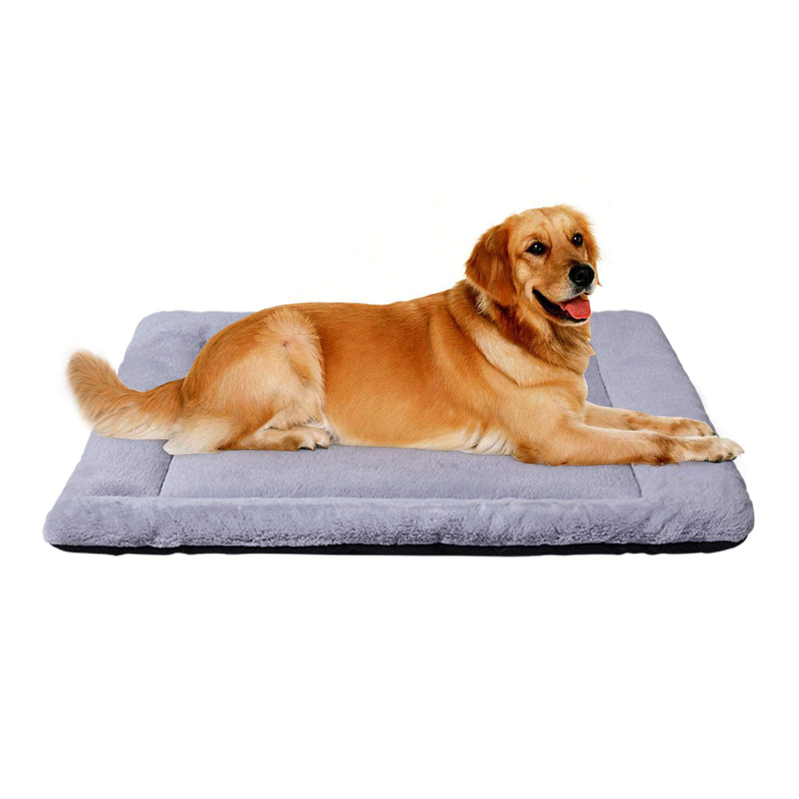 super soft dog bed