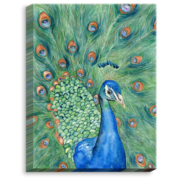 Dianochedesigns Splendor Peacock By Brazen Design Studio