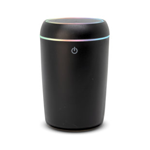 Essential Oil Holder Wayfair