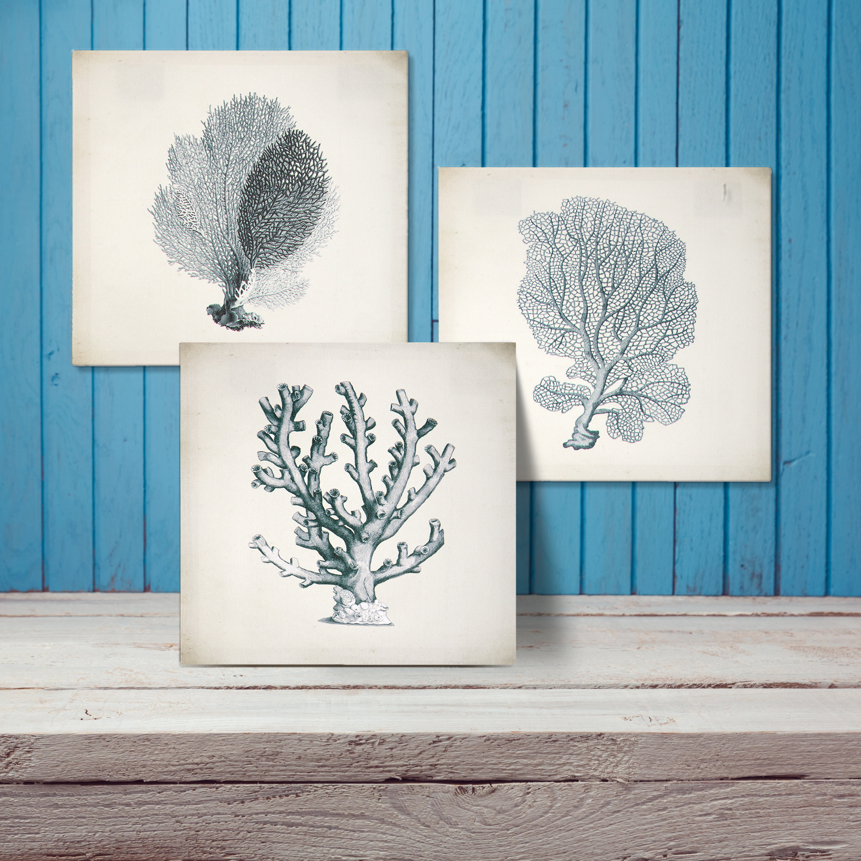 Highland Dunes 3 Piece Canvas Coral 