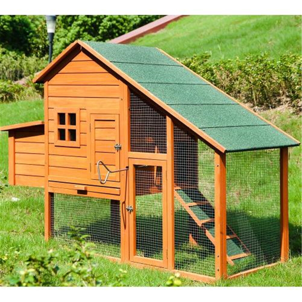 Tucker Murphy Pet Espana Chicken Coop With Nesting Box For Up To 3 Chickens Wayfair