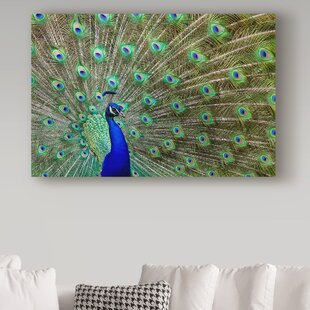 Wayfair | Peacock Canvas Art You'll Love in 2023