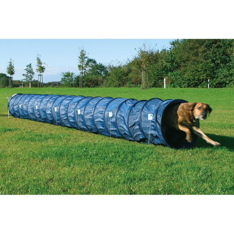 agility training tunnel for dogs