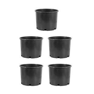2Gal-15Gal Black Plastic Round Pot Vegetable Flowe Fruit Nursery Garden Plant 