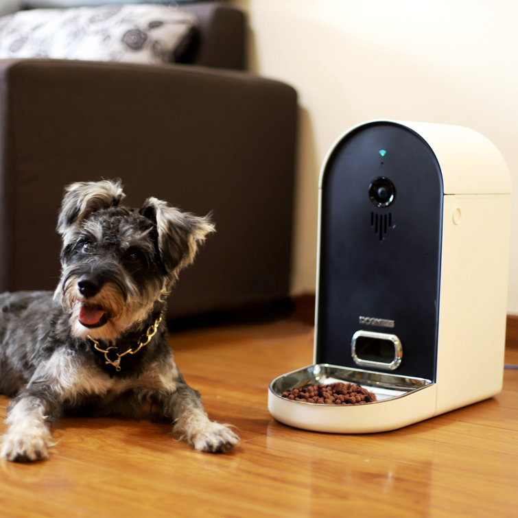 dogness smartcam feeder