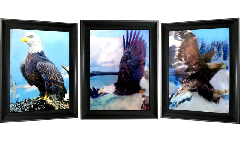 East Urban Home Flying Eagle Framed Graphic Art Print On Acrylic