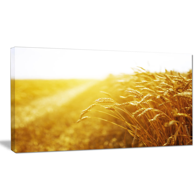 Compre Emoldurado Fazenda Italiana Casa Campo De Trigo Vermelho Papoilas Pure Pintados A Mao Arte Pintura A Oleo Sobre Tela Grossa Multi Tamanho Disponivel J011 De Myartworld 299 84 Pt Dhgate Com