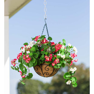 Outdoor Faux Hanging Baskets Wayfair Everlasting Faux Hanging Geranium Flowering Plant In Basket