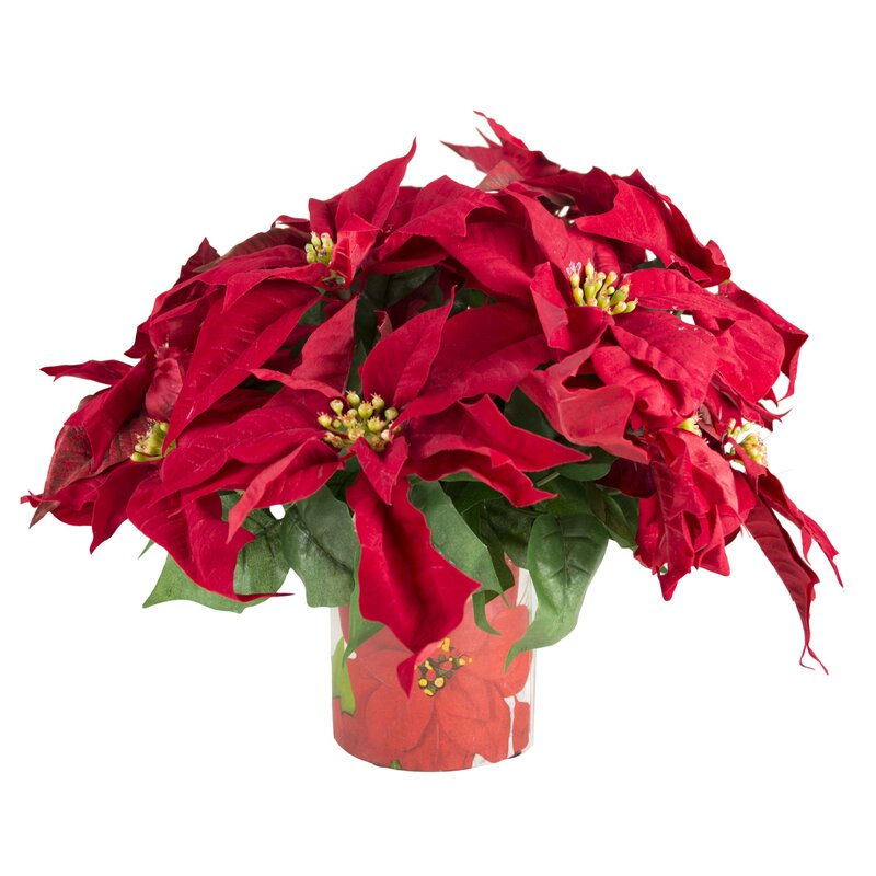 Creative Displays, Inc. Large Clusters of Poinsettia Floral ...
