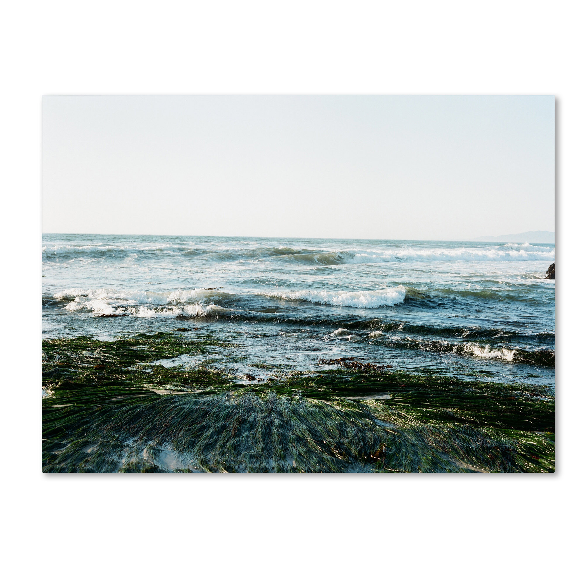 Trademark Art Waves Rolling In By Ariane Moshayedi Photographic Print On Wrapped Canvas Wayfair