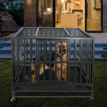 extra small dog kennel