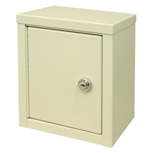 Ivy Hill 8" W x 9" H Wall Mounted Cabinet by