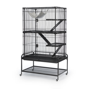 critter nation cage wayfair