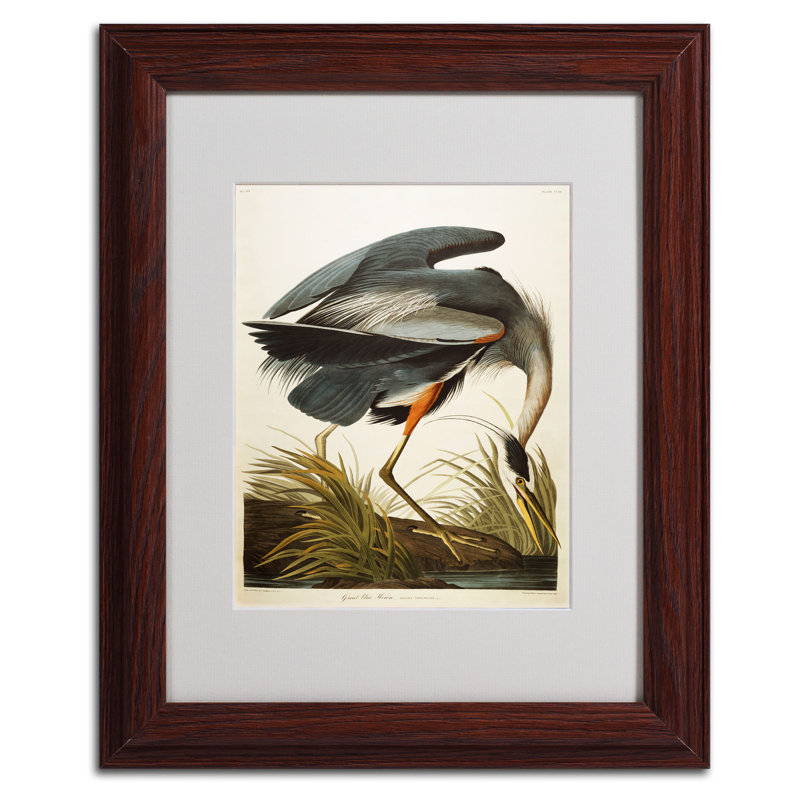 Trademark Art Great Blue Heron Framed Painting Print On Canvas Wayfair