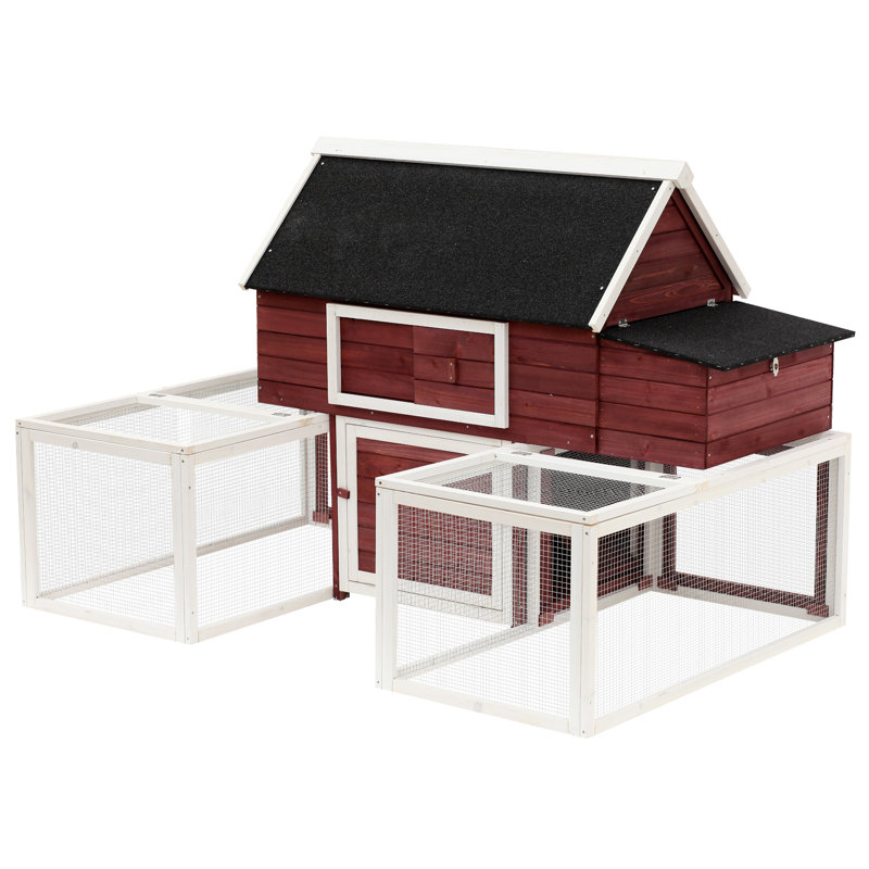 Tucker Murphy Pet Garnett Modular Wooden Backyard Chicken Coop