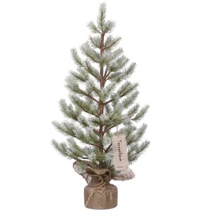 Frosted 2.5' Green Pine Artificial Christmas Tree with Stand
