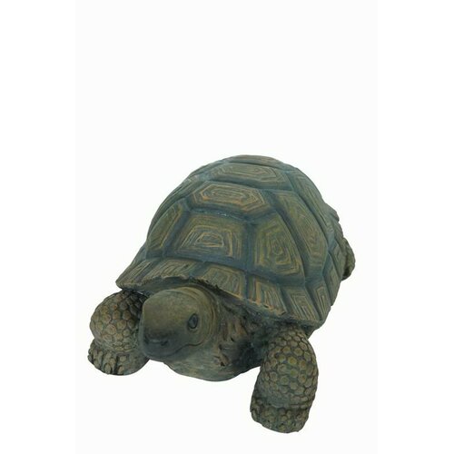 Hi-Line Gift Ltd. Turtle Statue & Reviews | Wayfair