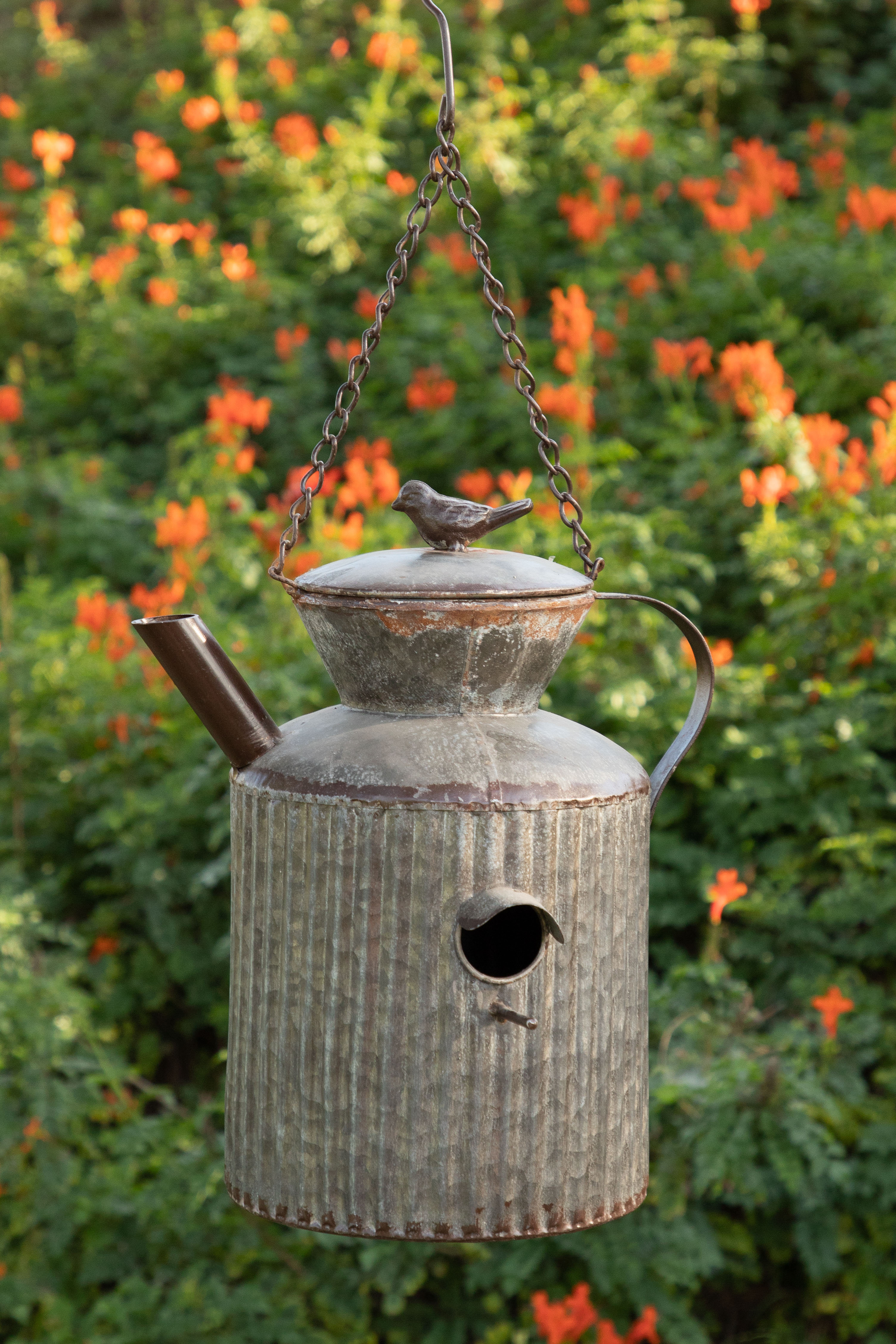 August Grove Rickett Watering Tin Can 13 In X 9 In X 10 Birdhouse
