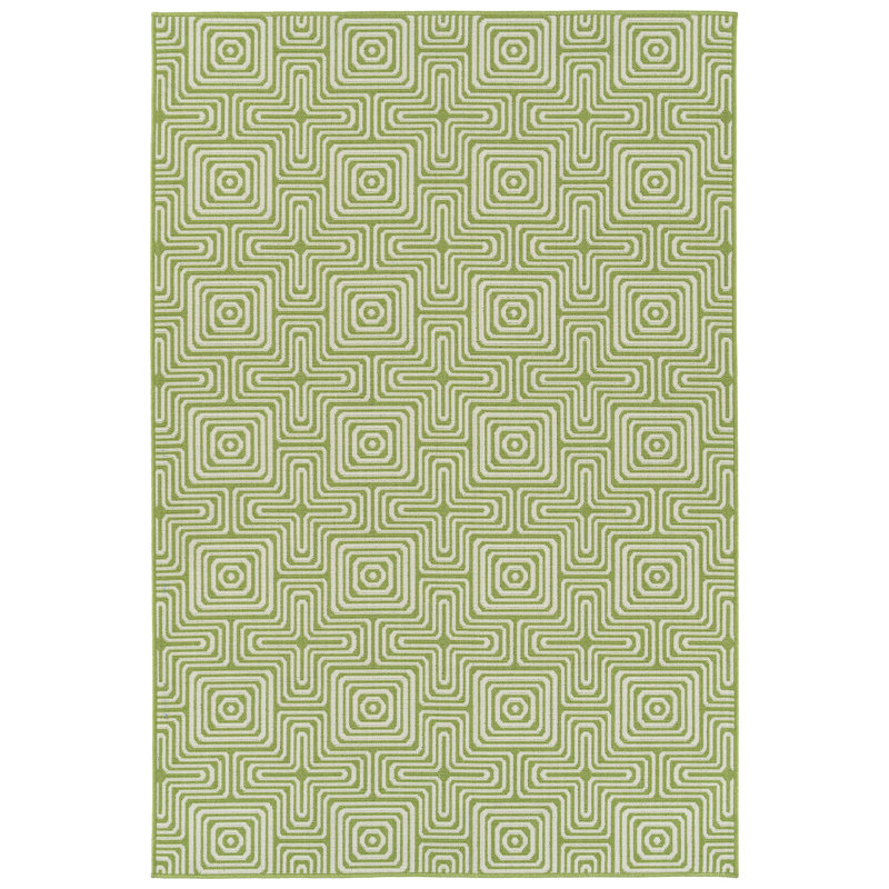 Brayden Studio Earp Lime Green Indoor Outdoor Area Rug Reviews
