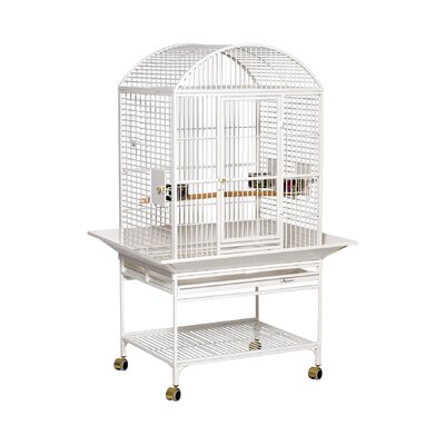 Bird Cages You'll Love in 2020 | Wayfair