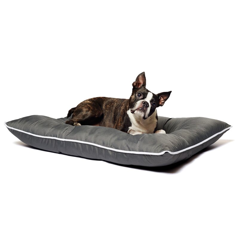 dog water bed review