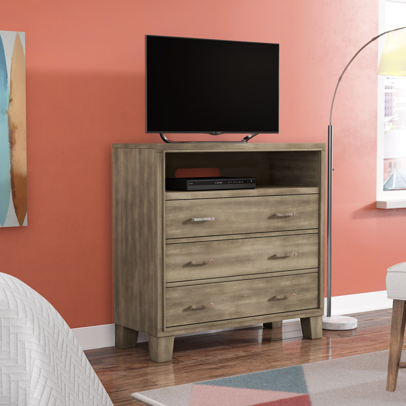 Trule Teen Brigham Solid Wood Tv Stand For Tvs Up To 40 Inches