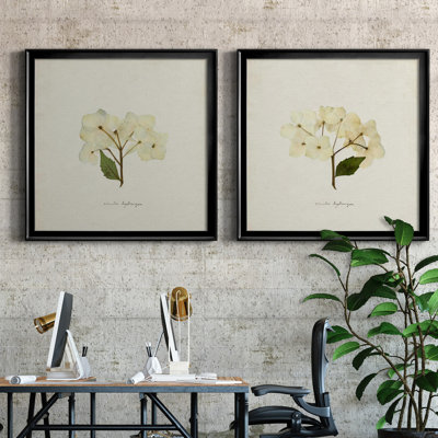 Cornales Hydrangea I Cornales Hydrangea I - 2 Piece Picture Frame Print Set