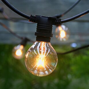 wayfair festoon lights