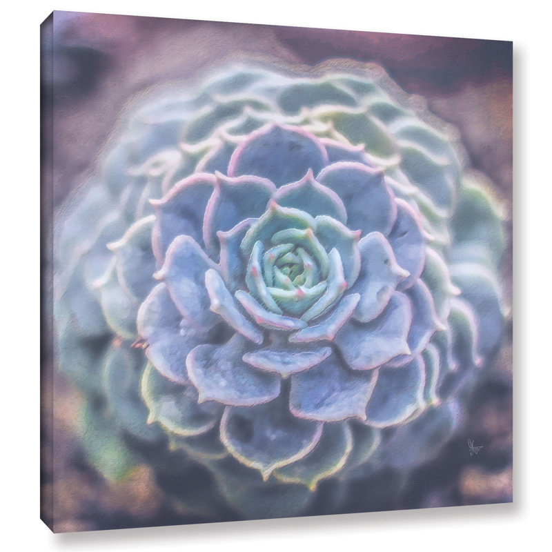 Bungalow Rose Succulent Cactus Flower Painting Print On Wrapped