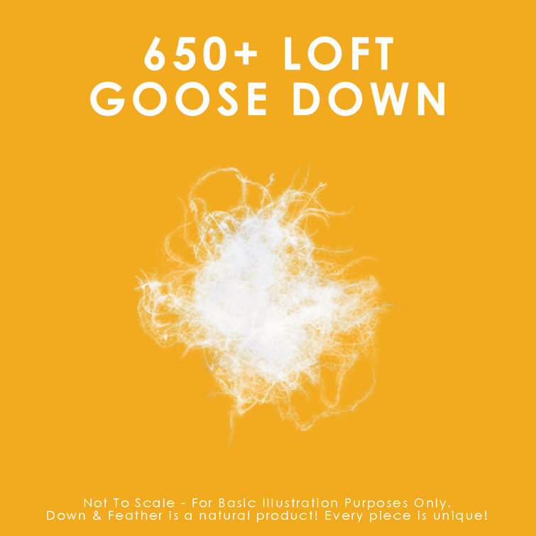 650 fill down comforter