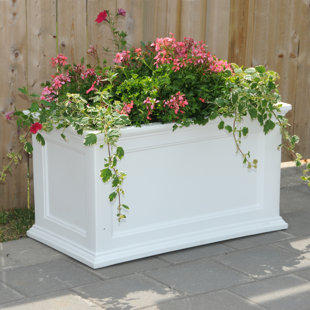 Long Indoor Planter Box | Wayfair Long Indoor Planter Box | Wayfair
