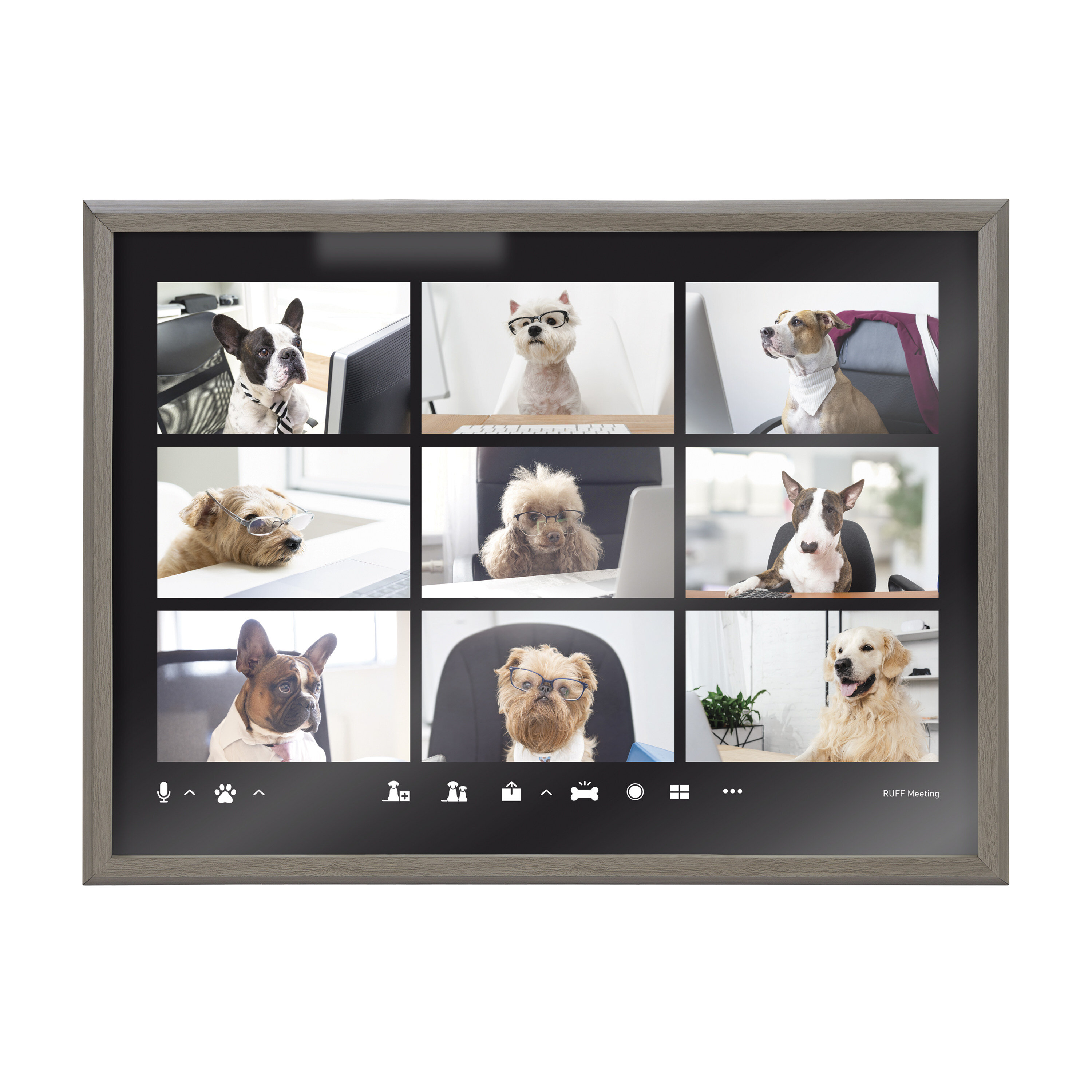 Xxx Video Importent Video - Latitude RunÂ® Video Chat Dogs - Picture Frame Graphic Art on Glass | Wayfair