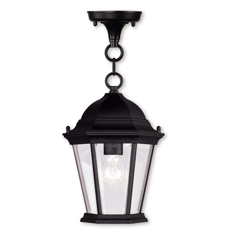Darby Home Co Busse 1-Light Outdoor Hanging Lantern