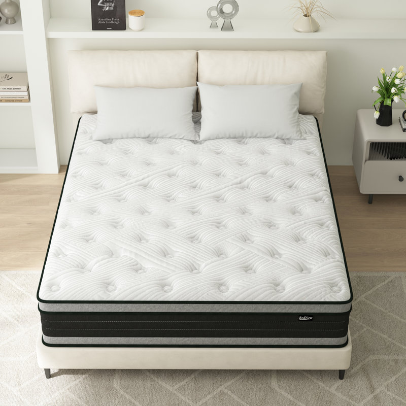 Asellus 14'' Medium Firm Hybrid Pillow Top Mattresses In a Box Mattress Size: Queen