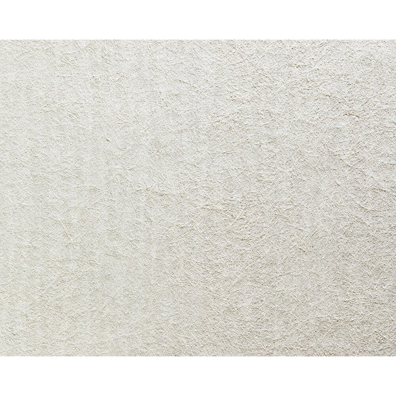 Blanc the Fascination of Elegant 33' L x 21" W Wallpaper Roll
