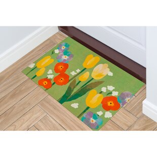 Cartoon Red Green Birds Branches Non Slip Soft Backing Absorbent Rugs for Entryway/Floors/Living Room Simple Line Animal Rectangle Indoor Mat Throw Carpet 16 x 24 Inches