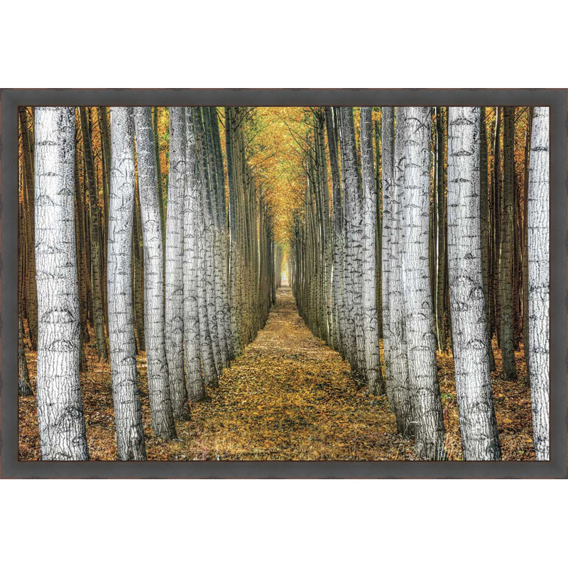 Millwood Pines Tree Farm Framed Acrylic Painting Print On Canvas