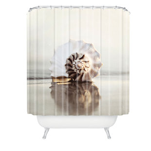 White Seashell Shower Curtain Wayfair