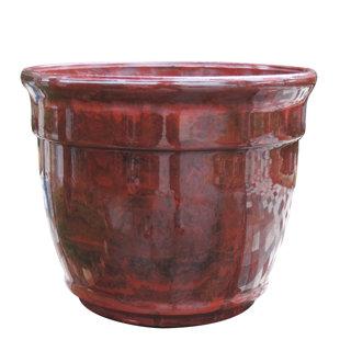 Decorative Clay Pots Wayfair Quickview
