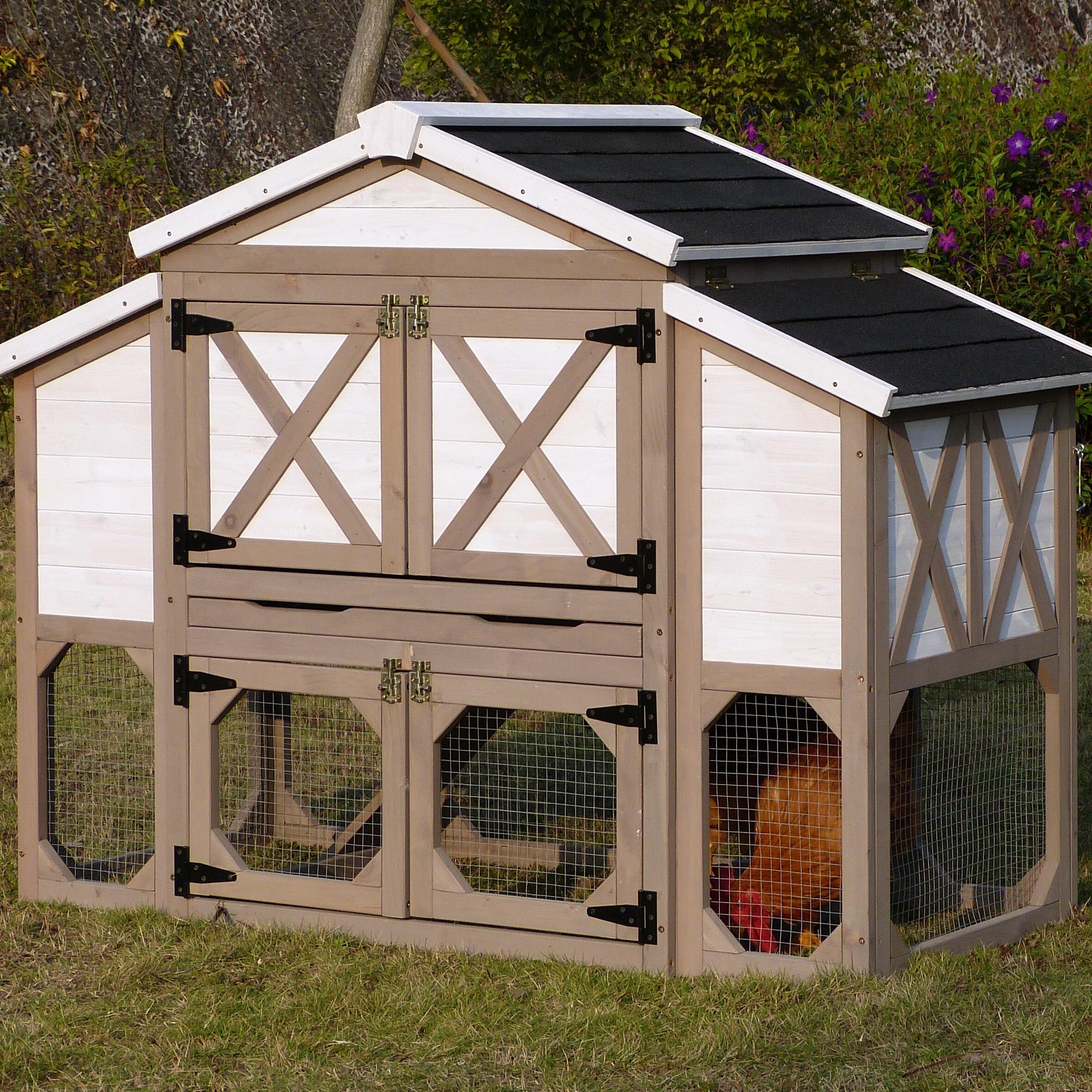 Archie & Oscar™ Nell 14.9 Square Feet Chicken Coop with Chicken Run ...